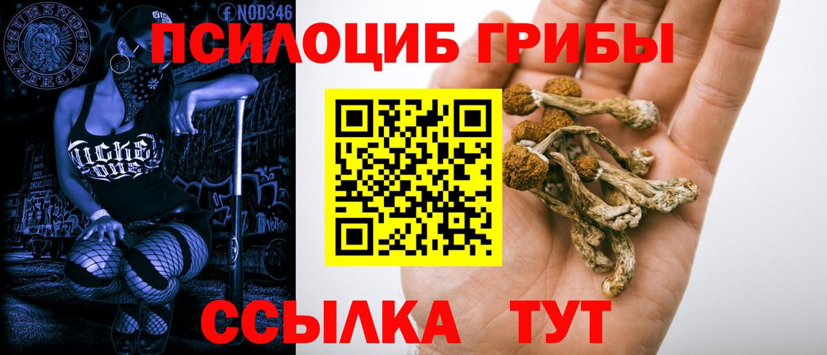 Галлюциногенные грибы мицелий  Вход с VPN  Псилоцибиновые грибы мицелий  Ставрополь 
